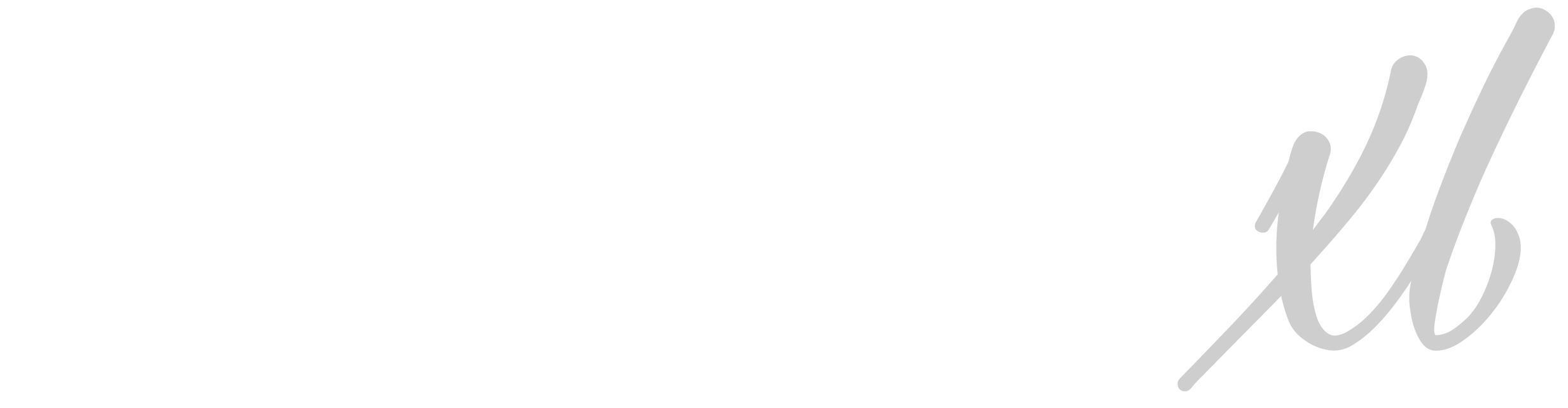 Sosyal XL